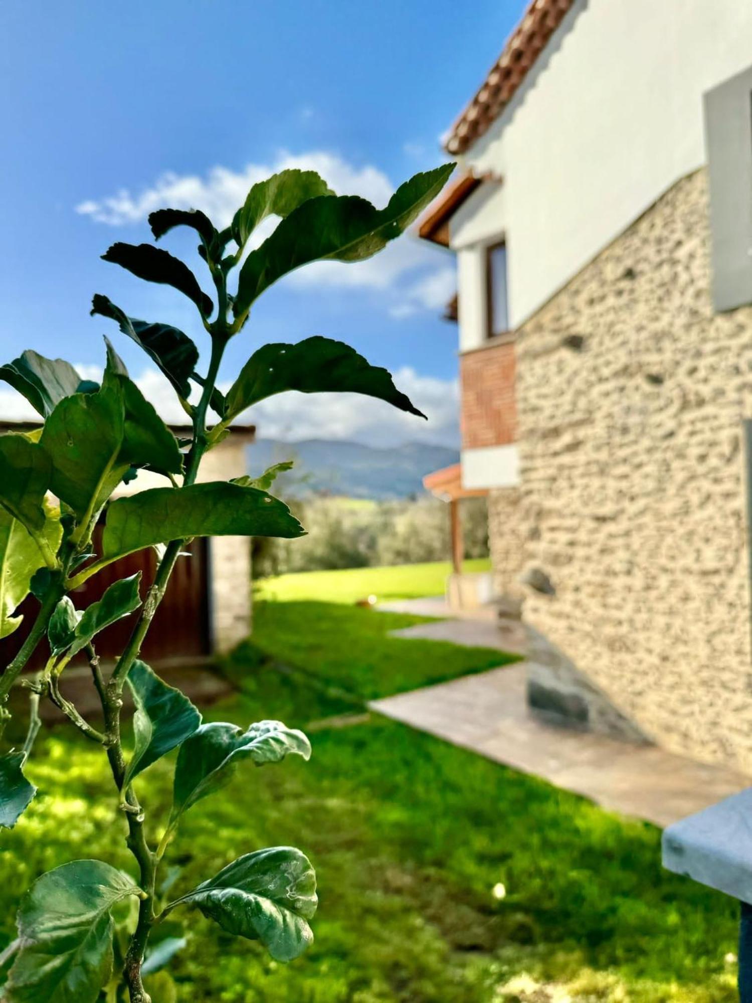 Terradeva Apartamentos Colombres Exteriér fotografie